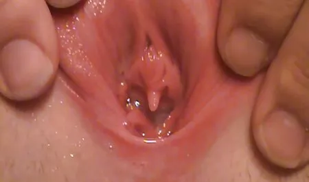 Señora de la hermosa mejor roi gordas culonas piernudas sentado en la polla
