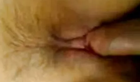 Abby videos ponos gordas
